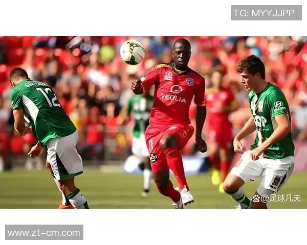 2016年阿德莱德联对阵悉尼FC精彩回顾与赛季分析